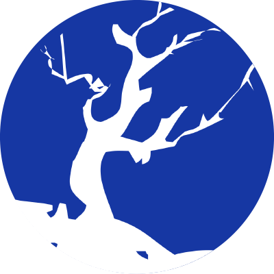 FORESTPLUS币