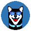 XRDOGE币