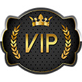 VIP币
